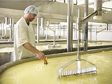 За январь-февраль Россия более чем на 9% увеличила производство сыворотки