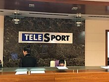 Владелец Okko получил 100% акций «Телеспорта»