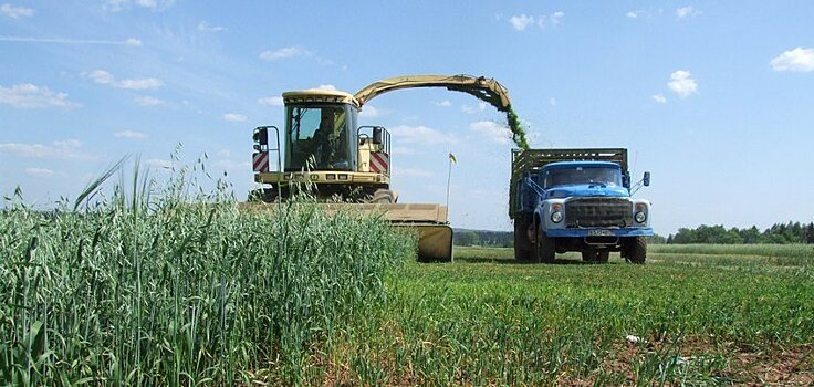 Индекс сельхозпроизводства в Удмуртии вырос на 1,2%