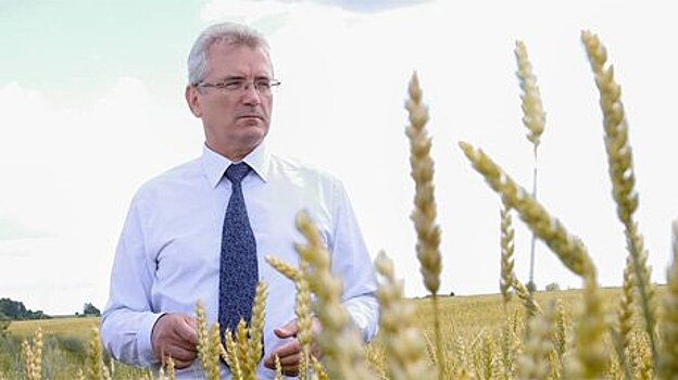 Губернатор поблагодарил земляков за богатый урожай зерна