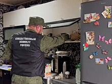 Роковые мухи: отец отравившихся детей стал главным подозреваемым в Красноярском крае