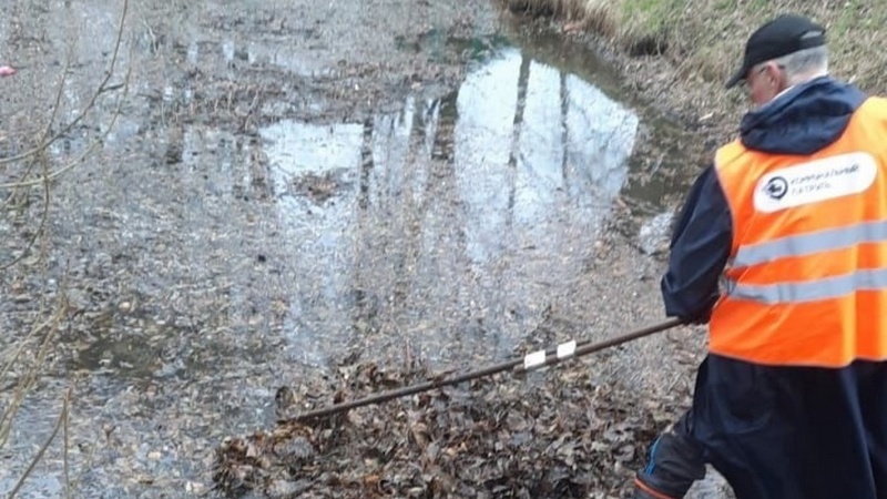 Специалисты очистили пруд в Кремлевском парке в Вологде