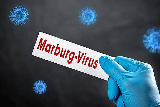 Роспотребнадзор оценил риски появления лихорадки в России