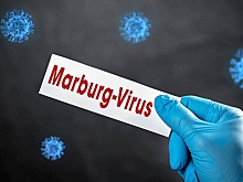 Роспотребнадзор оценил риски появления лихорадки в России