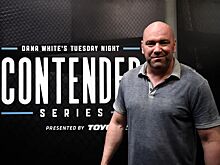 Претендентская серия Даны Уайта, как появилась, когда был первый сезон, бойцы UFC из Претендентской серии, гонорары бойцов