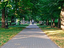 В сквере Чепеги и на Шаляпинском бульваре Краснодара появятся новые зелёные зоны