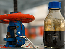 Удмуртский депутат заплатил за нефтяной участок больше «Роснефти»