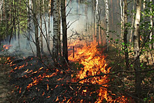 В Турции в 40 км от строительной площадки АЭС "Аккую" возник лесной пожар