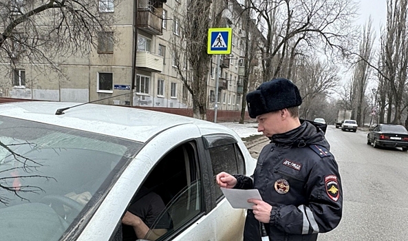 В Волгограде для пешеходов и водителей провели профилактическое мероприятие