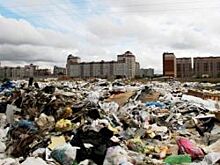 В Амурской области планируют построить завод по переработке мусора