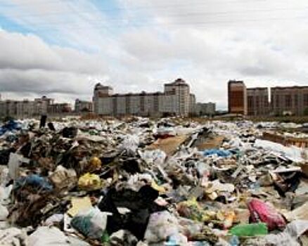 В Амурской области планируют построить завод по переработке мусора