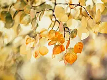 Народные приметы на 15 сентября: что нельзя делать в этот день