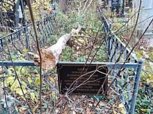 В Новочеркасске забыли о братской могиле расстрелянных горожан