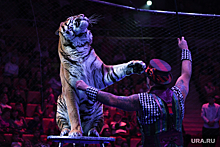 Директор цирка в Екатеринбурге выступила против запрета животных в шоу