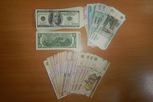 Вывоз валюты в Узбекистан пресекла служебная собака по кличке Ярс в Толмачево