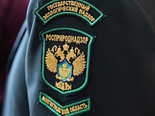 Под Волгоградом обнаружили загрязнение почвы нефтепродуктами