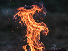 В Калининграде во время пожара огнеборцы спасли кошку, однако погибла женщина