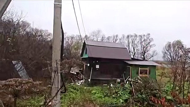 Майнинговую ферму нашли в зарослях борщевика в Ярославской области