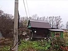 Майнинговую ферму нашли в зарослях борщевика в Ярославской области