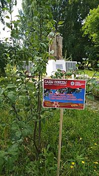 В селе Порез школьники создали музей Победы