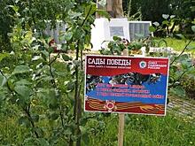 В селе Порез школьники создали музей Победы