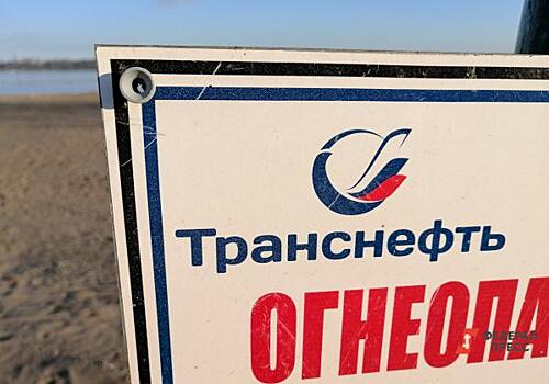 Присадки с турбулентностью: почему «Транснефть» сотрясает мощный скандал