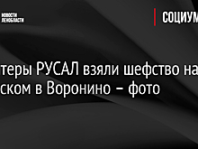 Волонтеры РУСАЛ взяли шефство над обелиском в Воронино – фото