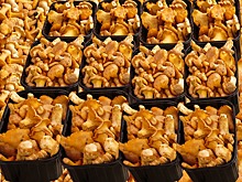 Грибную ферму в Зарайском районе откроют в 2018 году