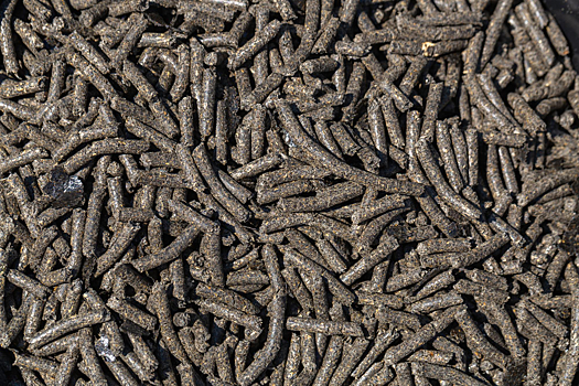 Россельхознадзор проконтролировал более 1,1 тыс. т подсолнечного шрота перед экспортом в Латвию