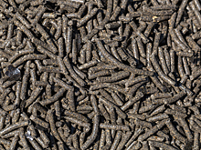 Россельхознадзор проконтролировал более 1,1 тыс. т подсолнечного шрота перед экспортом в Латвию