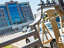 Семья Владимира Швецова добилась закрытия банкротного дела дочери