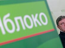 Партия «Яблоко» сообщила о встрече Путина и Явлинского