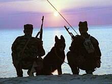 В российском регионе на несколько дней закрывают границу с Китаем