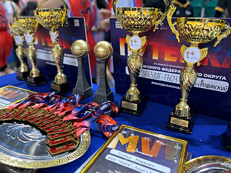 В Самарской области подвели итоги чемпионата Школьной баскетбольной лиги "КЭС-БАСКЕТ"
