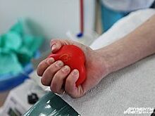 Испытано на себе. Пол-литра крови за пять минут