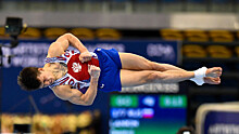 Российский гимнаст Ланкин завоевал серебряную медаль в опорном прыжке на ЕИ-2019