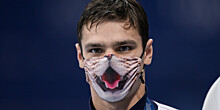 Олимпийский чемпион по плаванию Евгений Рылов поселил у себя дома 14 кошек