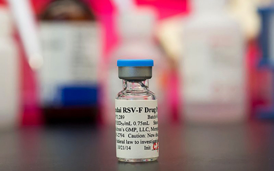 Новую вакцину против гриппа и пневмонии успешно испытали на мышах