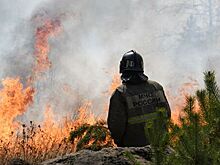 Минлесхоз назвал причину природных пожаров в Башкирии