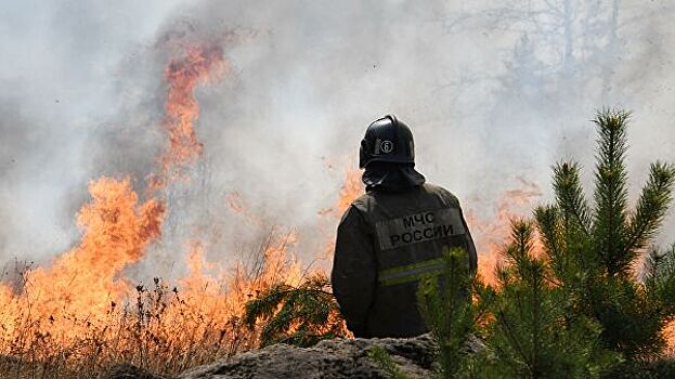 Минлесхоз назвал причину природных пожаров в Башкирии