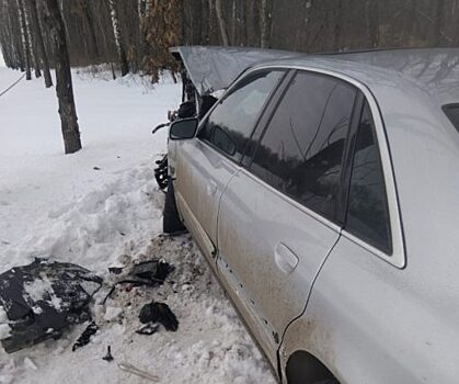 Водитель Audi А8 врезался в дерево, избегая лобового удара