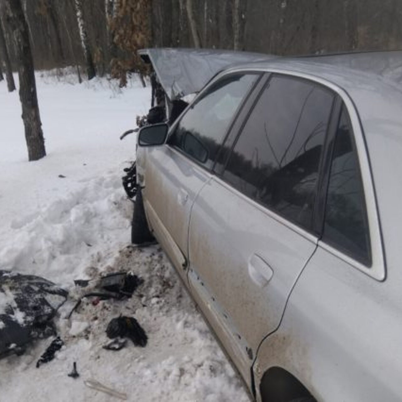 Водитель Audi А8 врезался в дерево, избегая лобового удара - Рамблер/авто