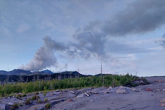 Жители города на Дальнем Востоке ощутили землетрясение