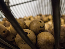 За 100 рублей выиграл полтора миллиона в лотерею житель НСО