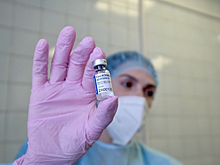 В Новосибирской области откроют 59 кабинетов для вакцинации