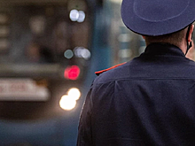 На жительницу Новосибирска завели дело из-за пуховика, зажатого дверью вагона