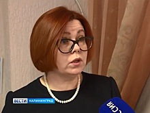 Более 150 жителей Светлогорска подписали заявление с просьбой расследовать травлю бездомных собак