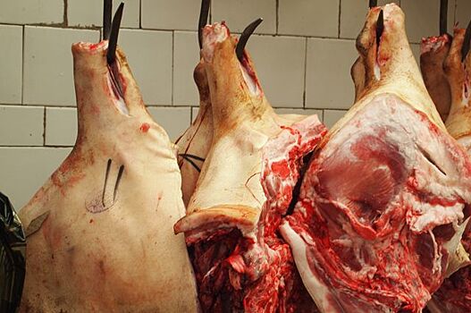 Россия ограничит поставки продукции трех белорусских предприятий