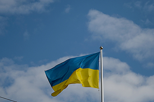 На Украине опровергли возбуждение дела против ездившего к Лукашенко депутата