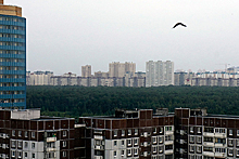 Названы районы Санкт-Петербурга с дешевым съемным жильем